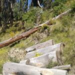 «Agroecología: clave para la seguridad alimentaria y la protección del medio ambiente en Bolivia»