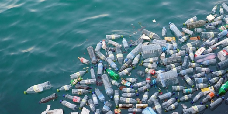 Impacto del plástico en la salud humana: estudio revela presencia en torrente sanguíneo