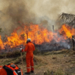 Comunarios de Pucarani exigen medidas urgentes ante contaminación en el lago Titicaca.