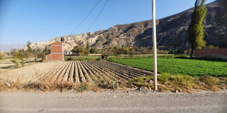 La expansión urbana descontrolada amenaza la seguridad alimentaria en Mecapaca, Bolivia.