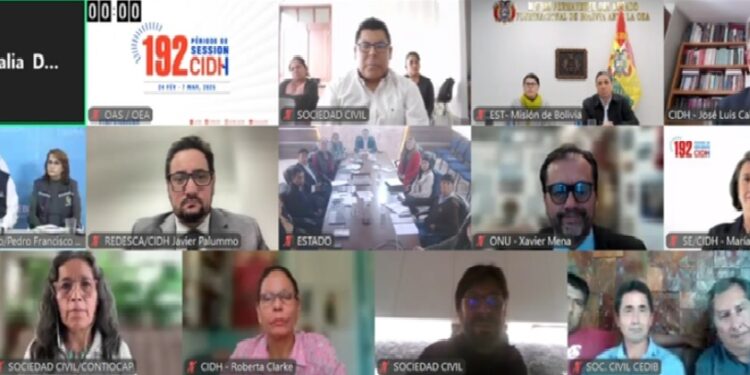 CIDH cuestiona criminalización a defensores ambientales en Bolivia