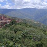 Impacto del plástico en la salud humana: estudio revela presencia en torrente sanguíneo