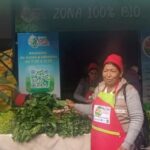 La importancia de la tierra en la bioarquitectura: construcciones más sostenibles y saludables.