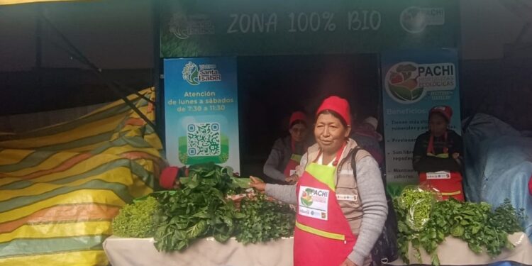 Pronunciamiento conjunto alerta sobre políticas agroambientales en Bolivia