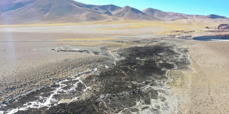Impactos ambientales de la extracción de litio en Argentina: alerta de abogado.