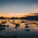 La OACI impulsa la digitalización del transporte aéreo con credenciales de viaje virtuales