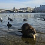 Descubriendo los Tesoros Artísticos de las Iglesias y Monasterios en Europa
