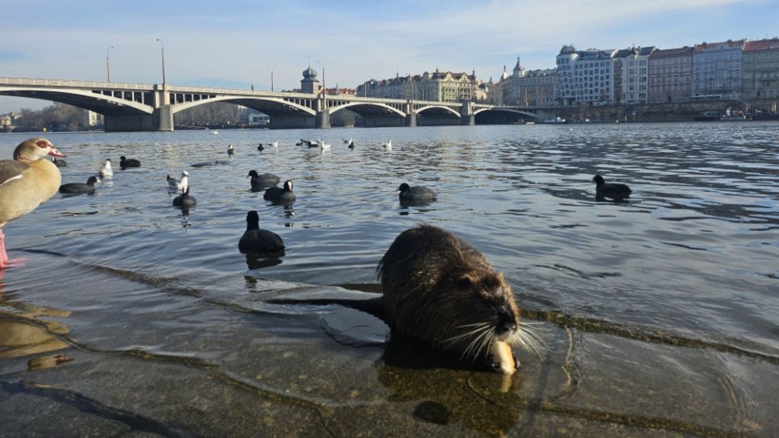 Descubriendo Praga: una experiencia sin alcohol en la capital de las despedidas de soltero