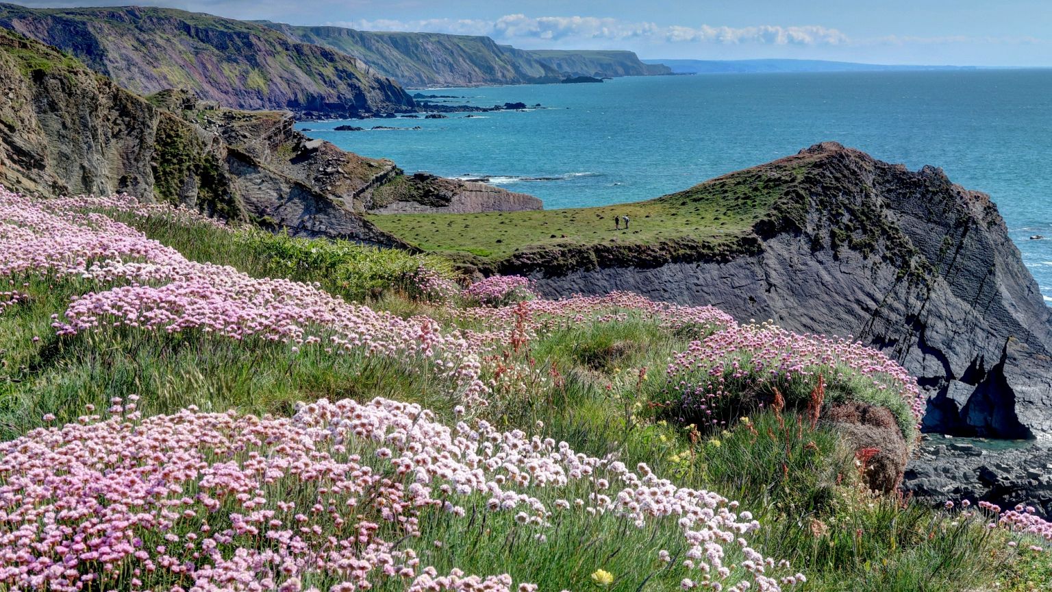 Descubre la belleza del Sendero de la Sal en la costa sur de Inglaterra