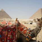 Estados Unidos y Arabia Saudita firman histórico acuerdo de cooperación económica y militar por US$600.000 millones.