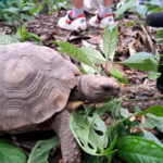 Detenidos dos ciudadanos colombianos por presunto delito de atentado contra la soberanía nacional en Perú