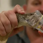 Keir Starmer presenta nueva estrategia de defensa del Reino Unido en medio de tensiones internacionales.