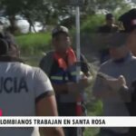 Tortugas motelo y añujes rescatados de traficantes de fauna silvestre son liberados en la Amazonía peruana.