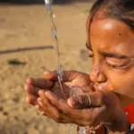 El legado de Eufrásia Teixeira Leite: la mujer adelantada que sorprendió al dejar una fortuna millonaria